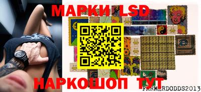 кокс Кудрово