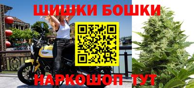 шишки Бузулук