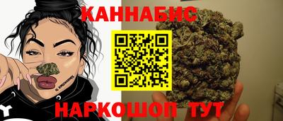 крисы Будённовск