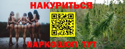 шишки Бузулук