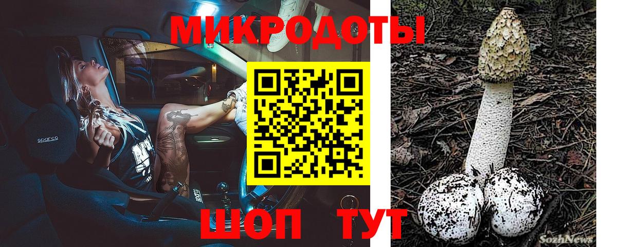 Миасс  Галлюциногенные грибы Cubensis  сколько стоит  Вход с VPN  Галлюциногенные грибы Psilocybine cubensis 