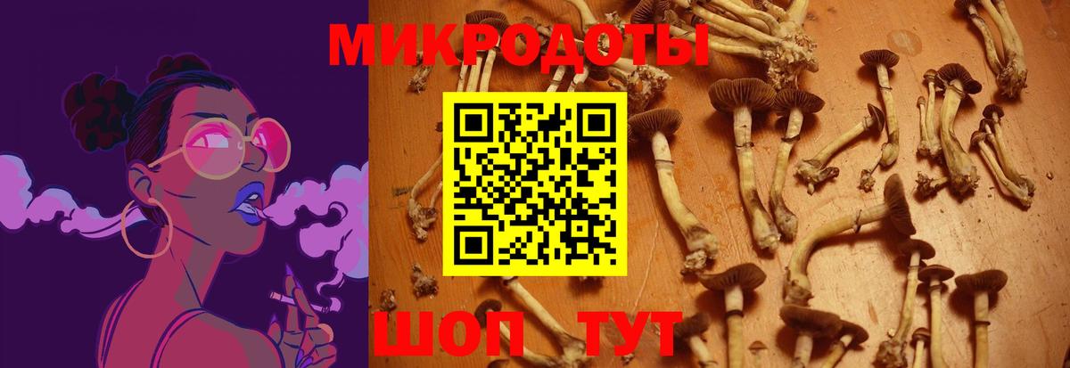 Псилоцибиновые грибы GOLDEN TEACHER Миасс